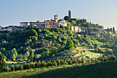  San Miniato, Tuscany, Italy 