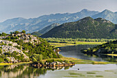 Skadarsee bei Karuc, Montenegro