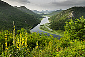  Rijeka Crnojevića river, Skadarsko Jezero National Park, Montenegro 