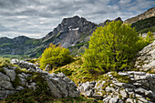 Durmitor Nationalpark, Sedlo Pass, Montenegro