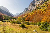  Ropojana Valley, Prokletije Mountains, Gusinje, Montenegro 