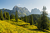  View of Kalbling, Sparafeld, Reichenstein, Gesäuse National Park, Ennstal Alps, Styria, Austria 