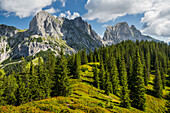  View of Kalbling, Sparafeld, Reichenstein, Gesäuse National Park, Ennstal Alps, Styria, Austria 