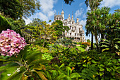 Hortensie, Quinta da Regaleira, Naturpark Sintra-Cascais, Lissabon, Portugal