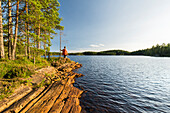  a man in Glaskogen Nature Reserve, Värmland County, Sweden 