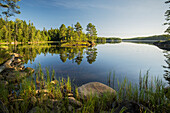  Lake in Glaskogen Nature Reserve, Värmland County, Sweden 