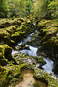 Les Marmites Schlucht, Orbe, Vallorbe, Waadt, Schweiz