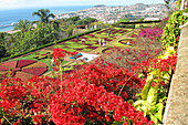  Botanical Garden Funchal Madeira 