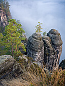  Morning mist at Ferdinandstein, Bastei, Saxon Switzerland, Elbe Sandstone Mountains, Saxony, Germany, Europe 