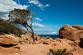  Red rocks and sea, Spiaggia di Coccorocci, near Tertenia, province of Ogliastra, Sardinia, Italy 