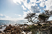  Beach, Spiaggia di Biderosa, Riserva Biderosa Nature Reserve, Orosei, Province of Nuoro, East Coast, Sardinia, Italy 