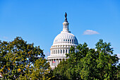  Dome of the United States Capitol (US Capitol Building, Capitol Building) with bronze Statue of Freedom in Washington DC, District of Columbia, USA 