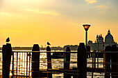 Sunset at Venice with a view on the Basilica  di Santa Maria della Salute, Italy.