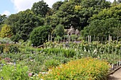  Cottage garden in Chartwell, Kent, England, UK 