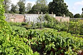  In the garden of Chartwell, Kent, England, Great Britain 