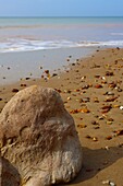  Beach on the Isle of White, England, Great Britain 