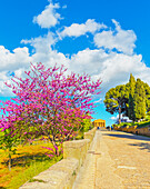 Temple of Concordia, Valley of Temples, Agrigento, Sicily, Italy