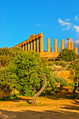 Temple of Juno, Valley of Temples, Agrigento, Sicily, Italy