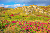 Riserva Naturale di Punta Bianca, Palma di Montechiaro, Agrigento, Sicily, Italy