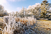  Winter landscape with hoarfrost in the Sempttal near Erding in Upper Bavaria 