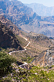 Descending track (Al Barida Road) on the western slope of Djebel Ahkdar from Sharaf al Alamayn Pass (2036m)  to Bilad Sayt village and Rustaq road, Sultanate of Oman, Arabian Peninsula, Middle East