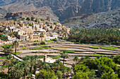 Village of Bilad Sayt, on the edge of the Wadi Bani Awf, North Eastern slope of Jebel Akhdar, Western Hajar Mountains, Al-Dakhiliyah region, Sultanate of Oman, Arabian Peninsula, Middle East