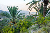 Wakan village in the Western Hajar Mountains, South Batinah Governorate in the border with Al Dakhiliyah Governorate through Al Hajar mountain range. Sultanate of Oman, Arabian Peninsula, Middle East