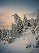  Sunrise near the Brocken, Brocken, Harz, National Park, Schierke, Wernigerode, sunrise, morning red, winter, frost, ice, Harz district, Saxony-Anhalt, East Germany, Central Germany, Germany, Europe 