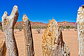 Typischer Holzzaun um ein Camp in der Wüste, Twyfelfontein, Kunene, Damaraland, Namibia, Afrika