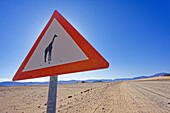 Eine einsame Straße mit Warnschild vor Giraffen, Hammerstein, Namib-Naukluft-Nationalpark, Namibia, Afrika