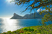 Chapman's Peak Drive, Atlantik, Hout Bay, Kapstadt, Südafrika, Afrika