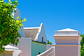  winery, Cape Dutch architecture, Stellenbosch, South Africa, Africa 