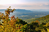  Panoramic view of the Virginia Blue Ridge Mountains from Skyline Drive in Shenandoah National Park, Virginia, USA 