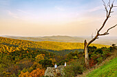  Panoramic view of the Virginia Blue Ridge Mountains from Skyline Drive in Shenandoah National Park, Virginia, USA 