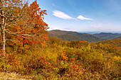  Panoramic view of the Virginia Blue Ridge Mountains from Skyline Drive in Shenandoah National Park, Virginia, USA 