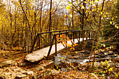  Whiteoak Canyon Trail in Shenandoah National Park, Virginia, USA 