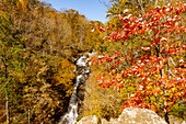  Upper Whiteoak Falls on the Whiteoak Canyon Trail in Shenandoah National Park, Virginia, USA 