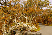  Betty&#39;s Rock on Skyline Drive in Shenandoah National Park, Virginia, USA 