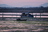 Sumpflandschaft bei Sonnenuntergang, Laguna di venetia, Chioggia, Veneto, Italien, Europa