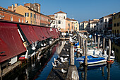 Blick auf den Fischmarkt und die gierigen Silbermöven am Vena Kanal, Chioggia, Lagune von Venedig, Veneto, Italien, Europa