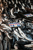 Detail of fish in Athens central Market, Greece