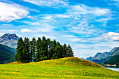 Beautiful Alpine Lake Silvaplana with Mountain View in the Swiss Alps in a Sunny Summer Day in Silvaplana, Maloja, Grisons, Switzerland.