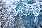 House on Mountain Side in a Snowy Winter Day in Grindelwald, Canton Bern, Switzerland.
