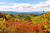  View from View Buena Vista of the Blue Ridge Mountains from the Blue Ridge Parkway, Virginia, USA 