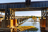 T. Tyler Potterfield Memorial Bridge nach Brown's Island (Brown's Island Dam Walk) mit Blick auf Eisenbahnbrücke Manchester Bridge im James River Park in Richmond, Virginia, USA