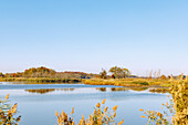 Marschlandschaft im Augustine Wildlife Refugee am Delaware River bei Odessa, New Castle County, Delaware, USA