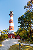 Assateague Lighthouse im Chincoteague National Wildlife Refuge auf Assateague Island, Accomack County, Virginia, USA