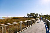 Radfahrer auf dem Gordons Pond Trail im Cape Henlopen State Park  in Lewes, Sussex County, Delaware, USA