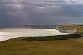 weiße Klippen des Seven Sisters Nationalpark, Sussex, England, Großbritannien, Europa