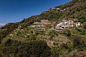 Summer View of Hike from Monterosso to Vernazza, Cinque Terre, Italy